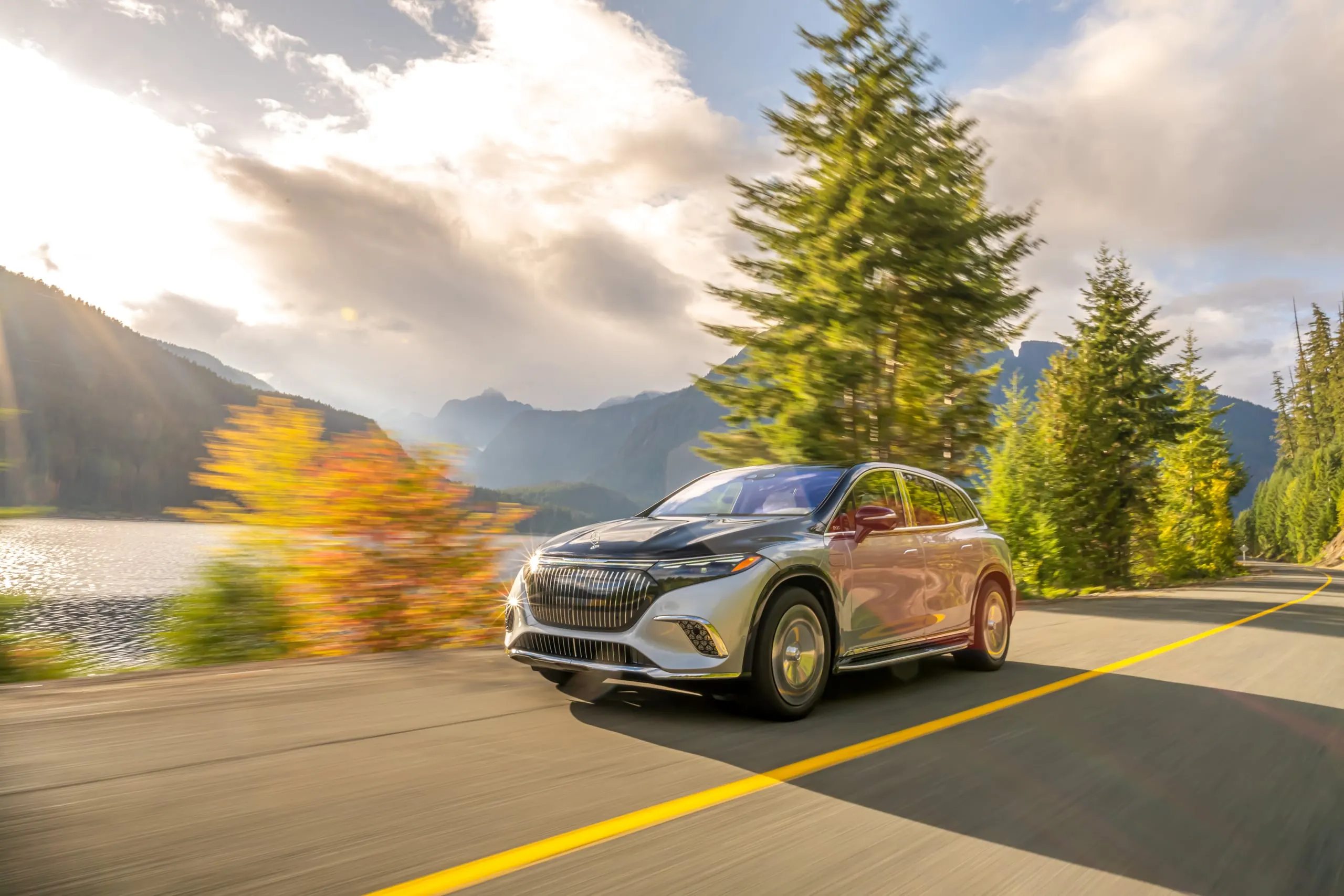 Maybach EQS SUV in Fahrt zwischen Nadelbäumen