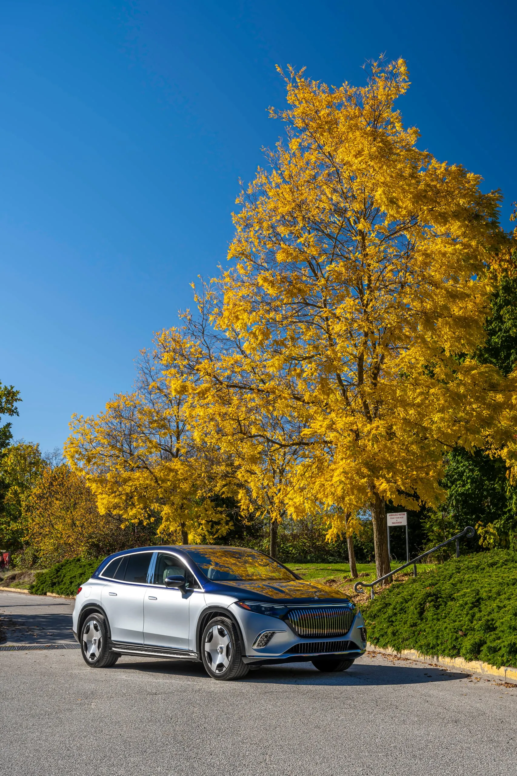 Maybach EQS SUV unter einem gelben Herbstbaum