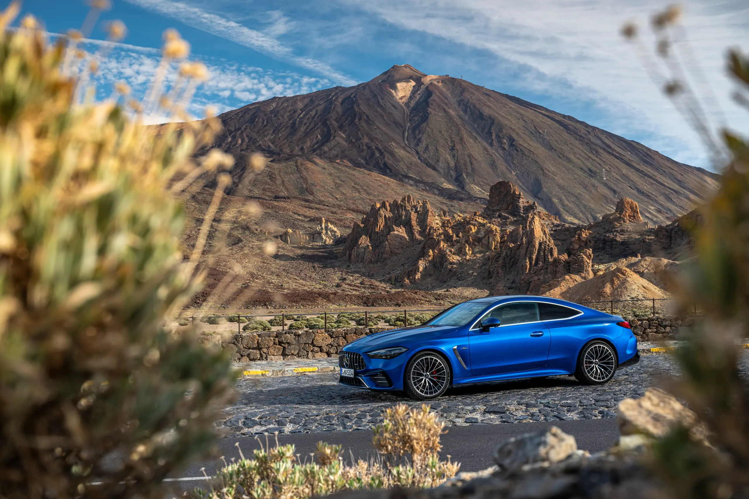 CLE 53 Coupé vor dem Teide, durch Pflanzen fotografiert